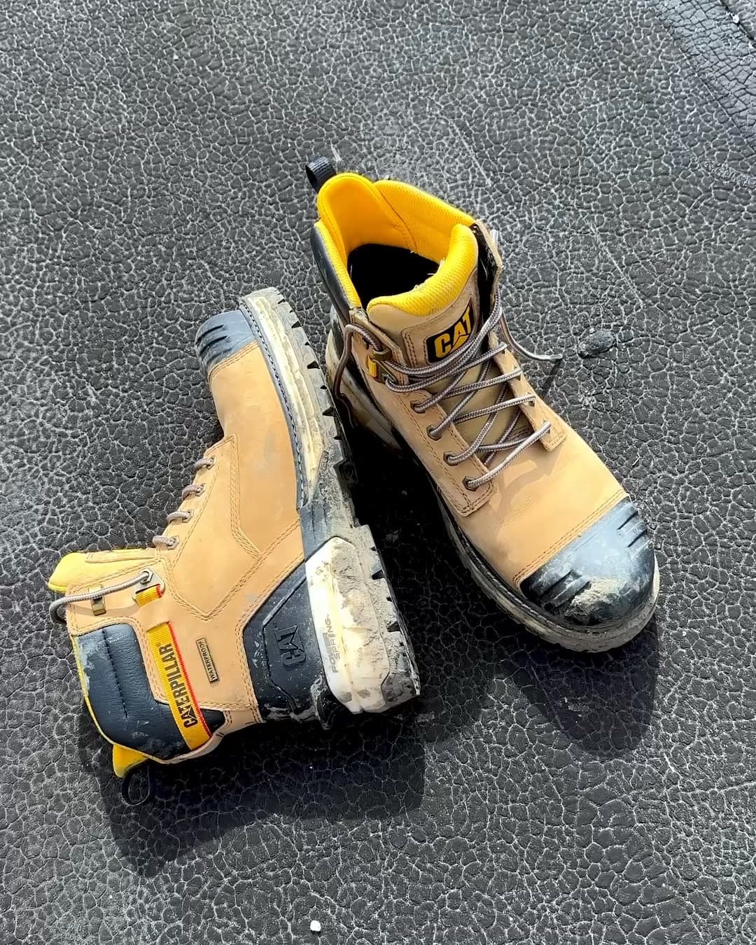 Cat Footwear ad creative