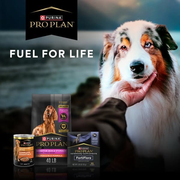 Chewy ad creative