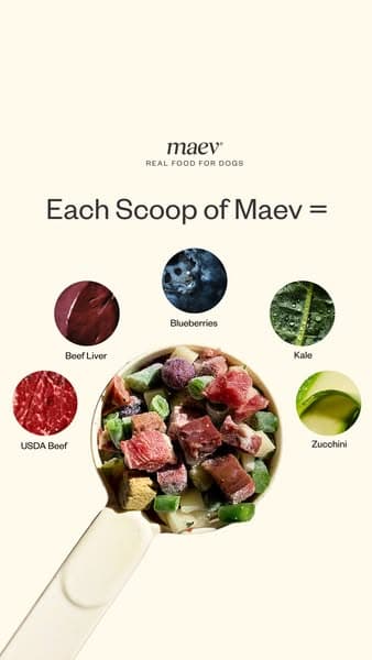 Maev ad creative