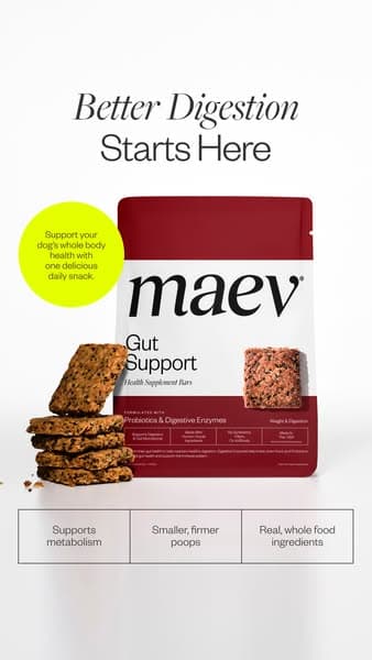Maev ad creative