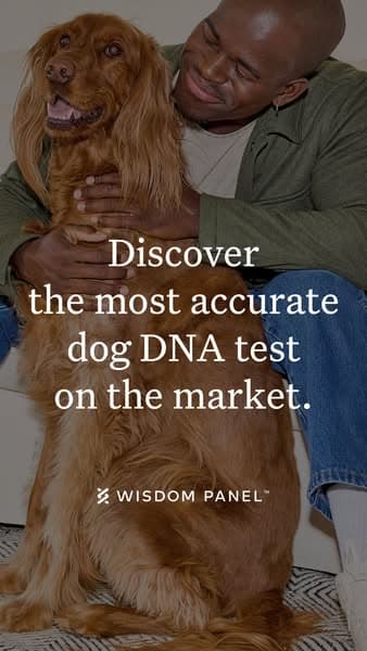 Wisdom Panel ad creative