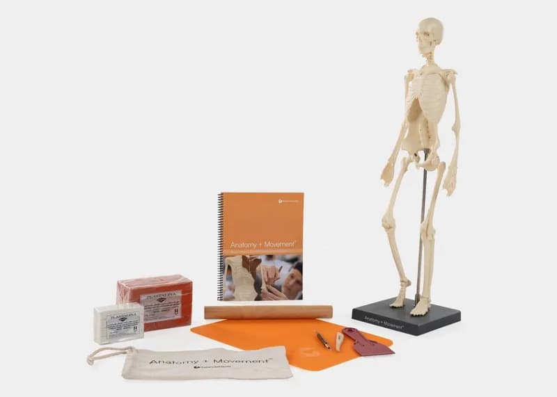 Pilates Anatomy in Three Dimensions Complete Build Kit