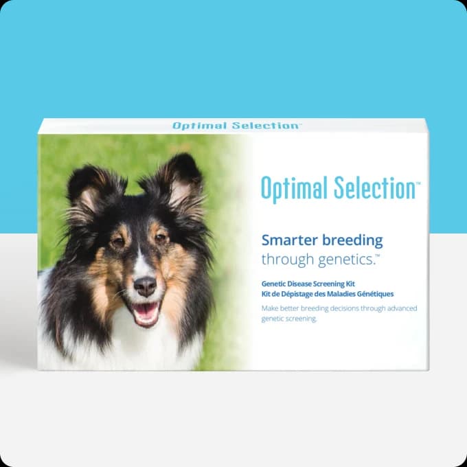 Optimal Selection™ Canine